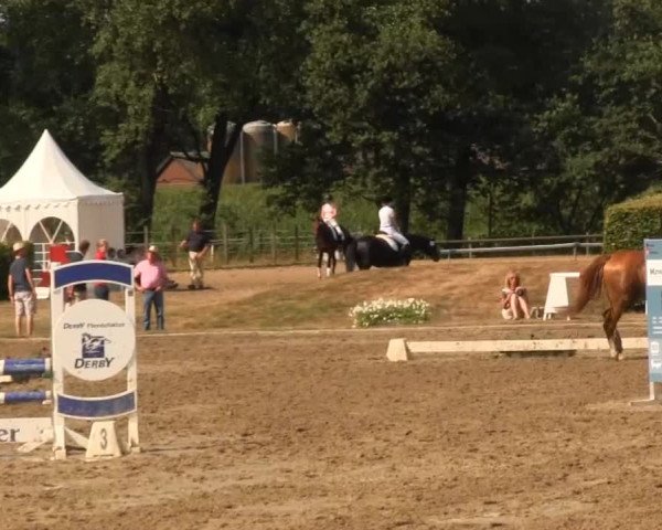 Reitturnier Münster-Handorf 2013