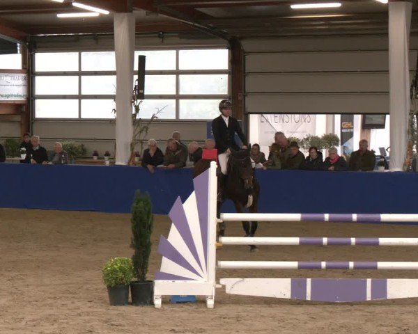 Reitturnier Isterberg 2024