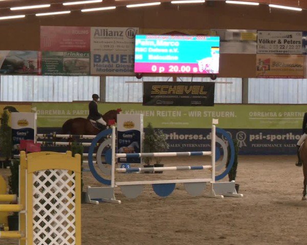 Reitturnier Isterberg 2024