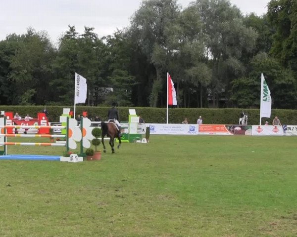 Reitturnier Münster-Handorf 2013