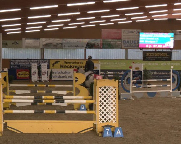 Reitturnier Isterberg 2024
