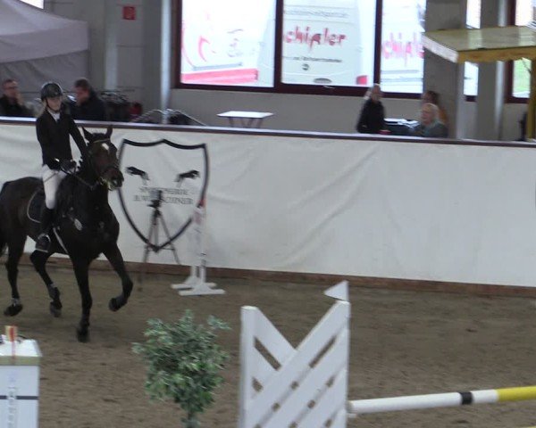 Reitturnier Prussendorf 2024