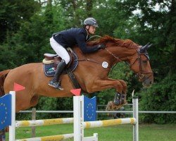 jumper Cumpel G (Westphalian, 2014, from Comme il Faut)