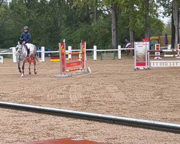 Video of Cocos