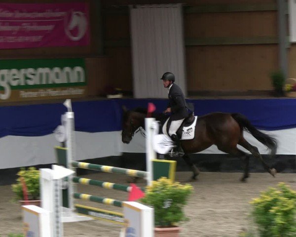 Reitturnier Gadebusch 2024