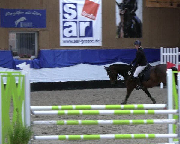 Reitturnier Gadebusch 2024