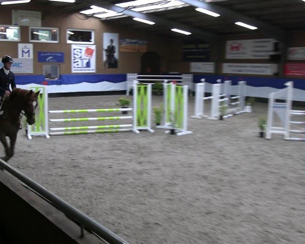 Reitturnier Gadebusch 2024