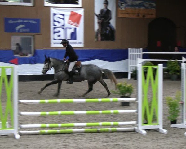 Reitturnier Gadebusch 2024