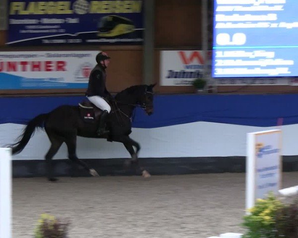 Reitturnier Gadebusch 2024