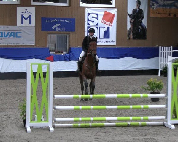 Reitturnier Gadebusch 2024
