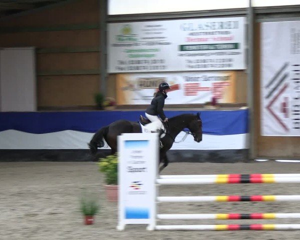Reitturnier Gadebusch 2024