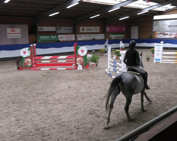 Reitturnier Gadebusch 2024