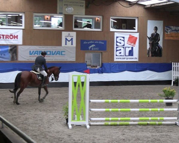 Reitturnier Gadebusch 2024