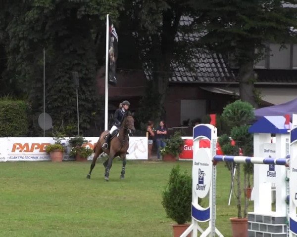 Westfalen-Woche 2013