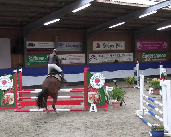 Reitturnier Gadebusch 2024