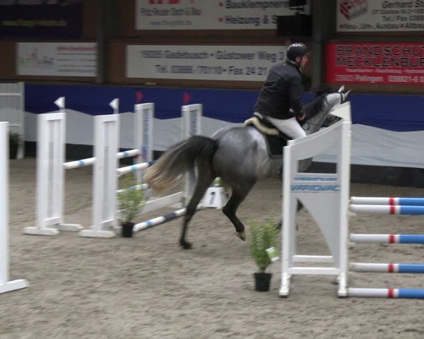 Reitturnier Gadebusch 2024