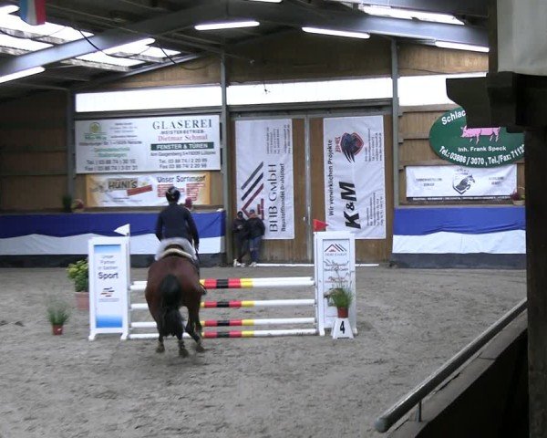 Reitturnier Gadebusch 2024