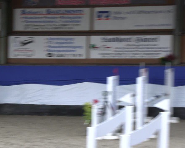Reitturnier Gadebusch 2024