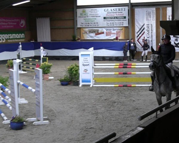 Reitturnier Gadebusch 2024