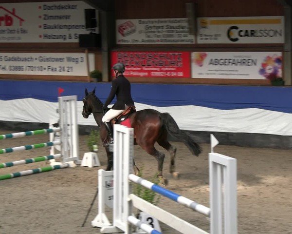 Reitturnier Gadebusch 2024