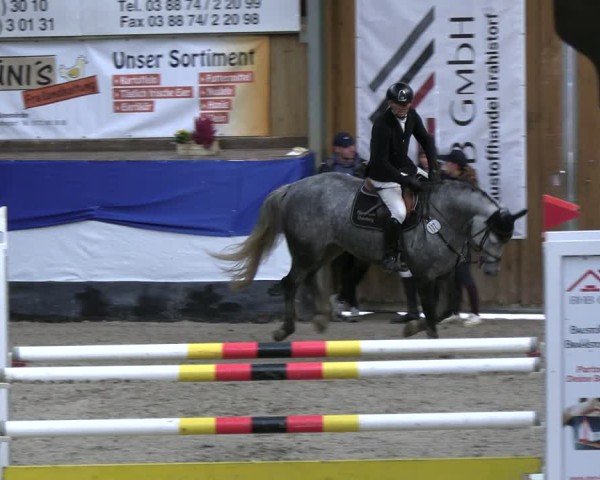 Reitturnier Gadebusch 2024