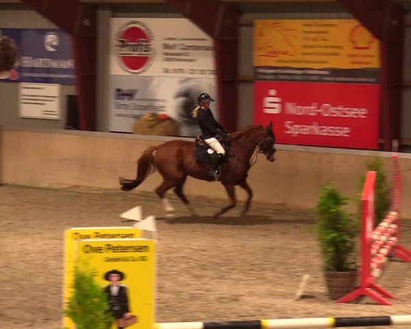 Reitturnier Behrendorf 2024