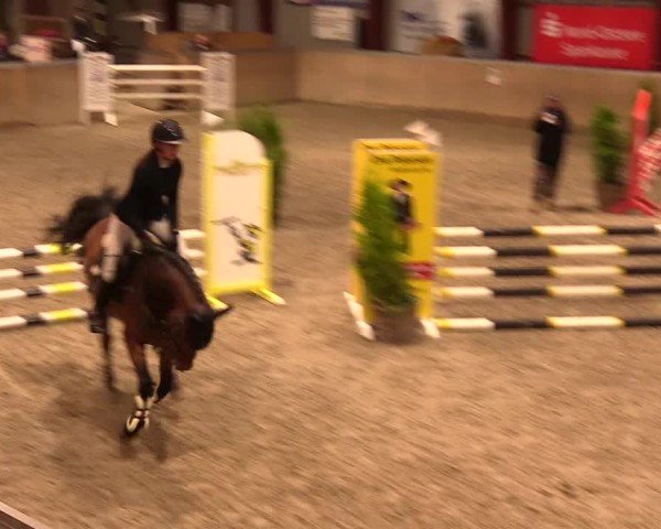 Reitturnier Behrendorf 2024