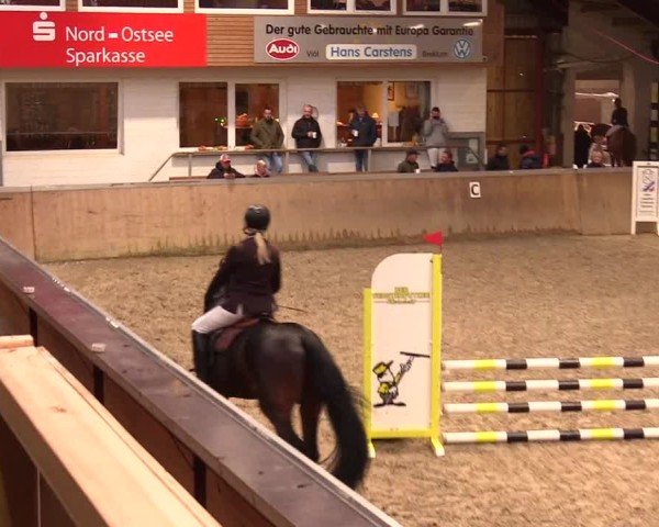 Reitturnier Behrendorf 2024