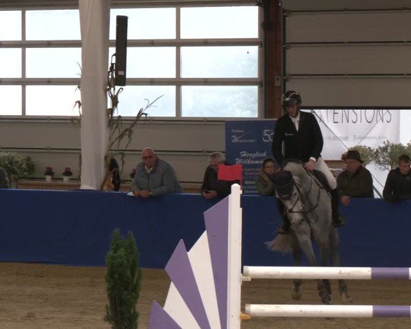 Reitturnier Isterberg 2024