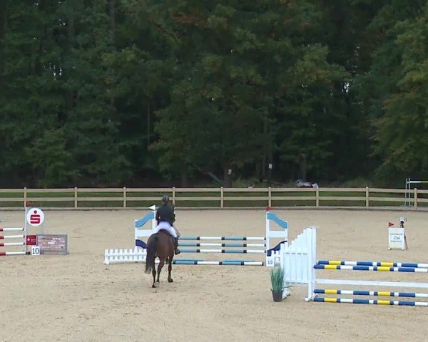 Reitturnier Tiefenhof/Opf. 2024