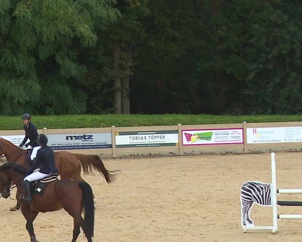 Reitturnier Tiefenhof/Opf. 2024