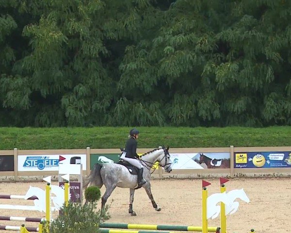 Reitturnier Tiefenhof/Opf. 2024