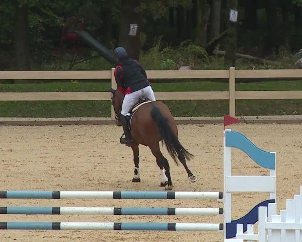 Reitturnier Tiefenhof/Opf. 2024