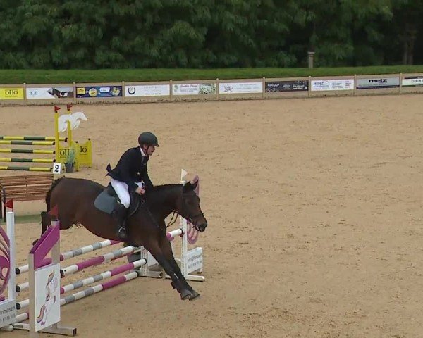 Reitturnier Tiefenhof/Opf. 2024