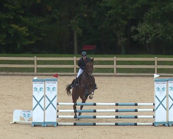 Reitturnier Tiefenhof/Opf. 2024