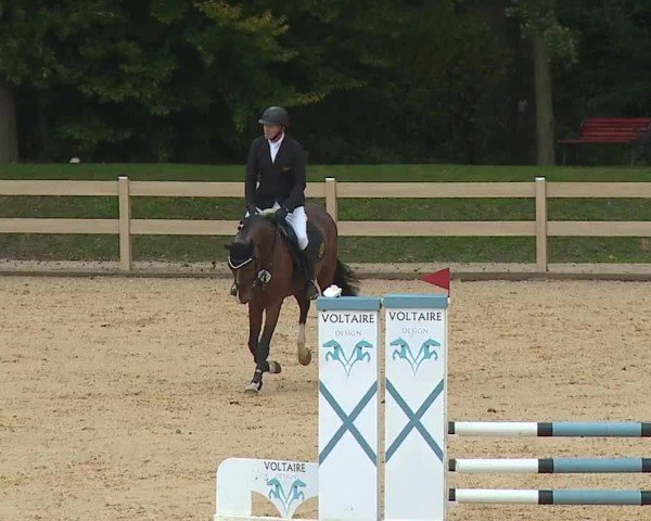 Reitturnier Tiefenhof/Opf. 2024