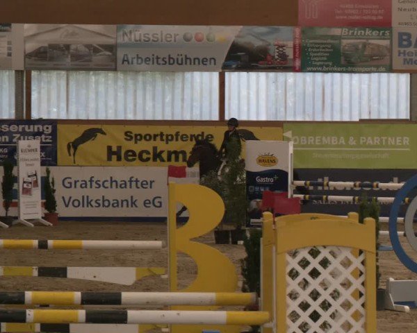 Reitturnier Isterberg 2024
