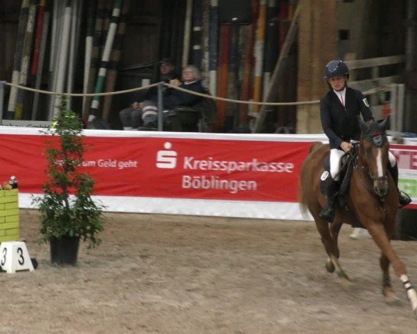 Reitturnier Böblingen 2024