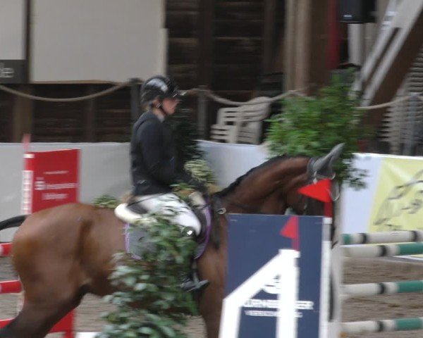 Reitturnier Böblingen 2024