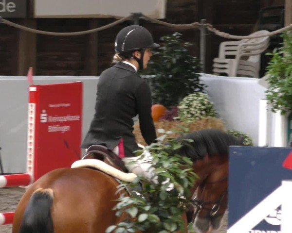 Reitturnier Böblingen 2024
