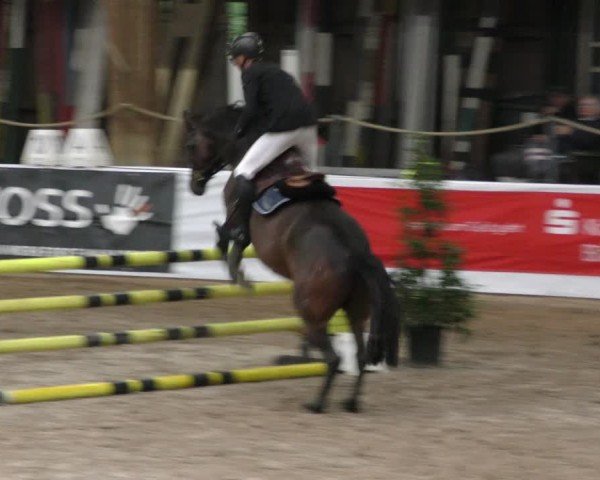 Reitturnier Böblingen 2024