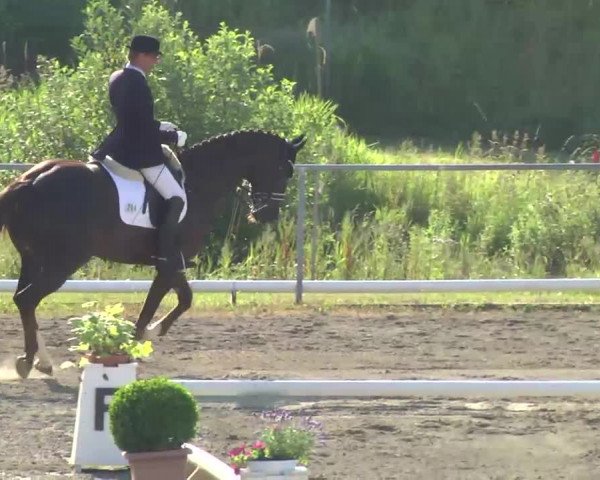 Leutkirch-Haid 2013