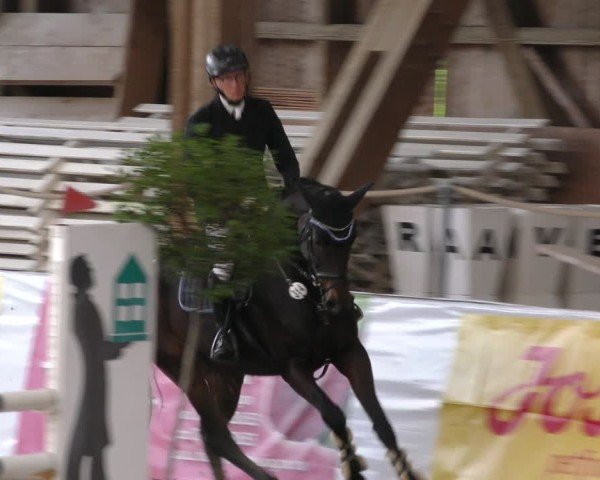 Reitturnier Böblingen 2024