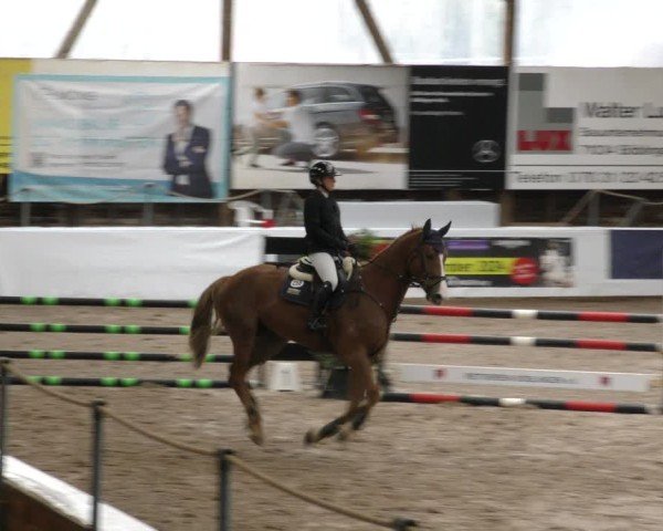 Reitturnier Böblingen 2024