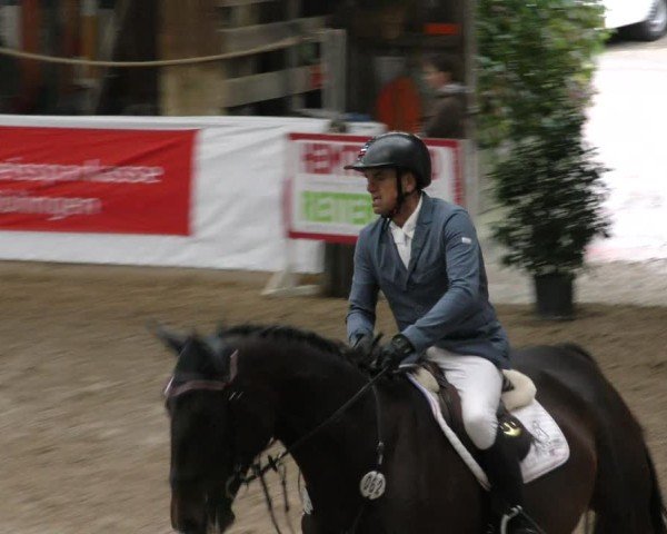 Reitturnier Böblingen 2024
