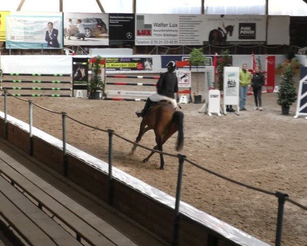 Reitturnier Böblingen 2024