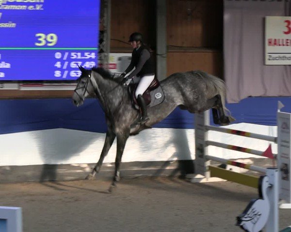 Reitturnier Gadebusch 2024