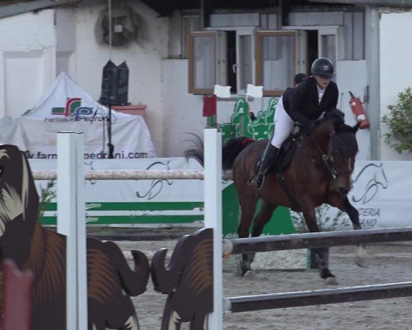 Reitturnier Giubiasco 2024