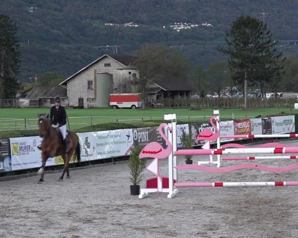 Reitturnier Giubiasco 2024