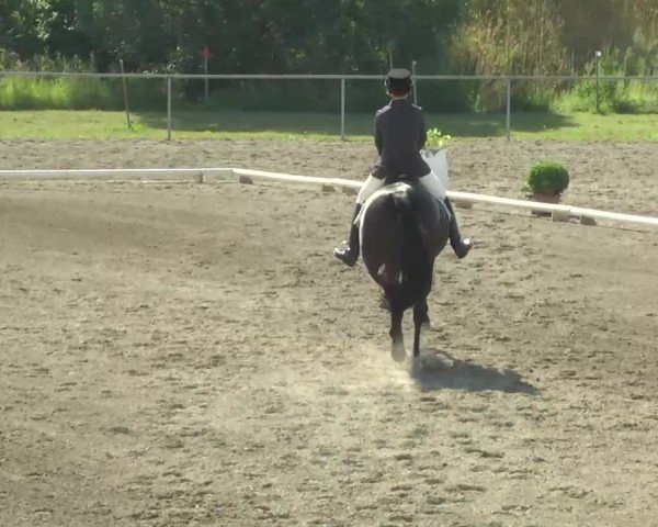 Leutkirch-Haid 2013